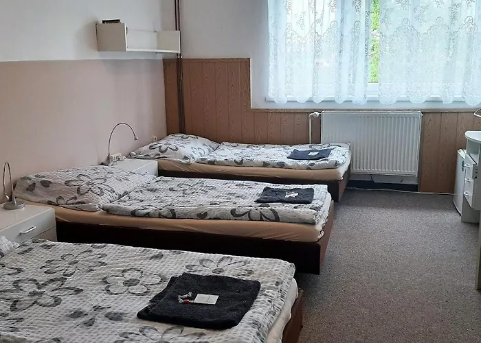 Guest house Bezdekov 3*